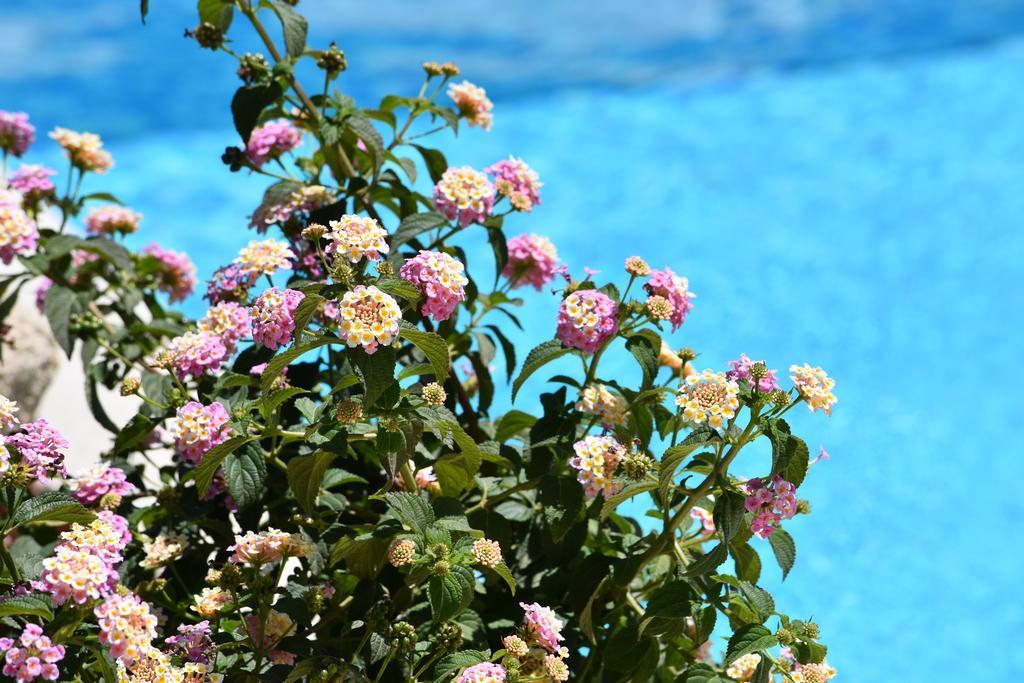 Affittacamere B&B La Villa Dei Graniti Villasimius Ngoại thất bức ảnh